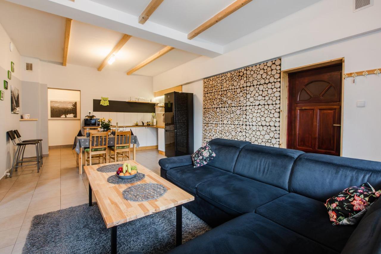 Apartament Grota ザコパネ エクステリア 写真