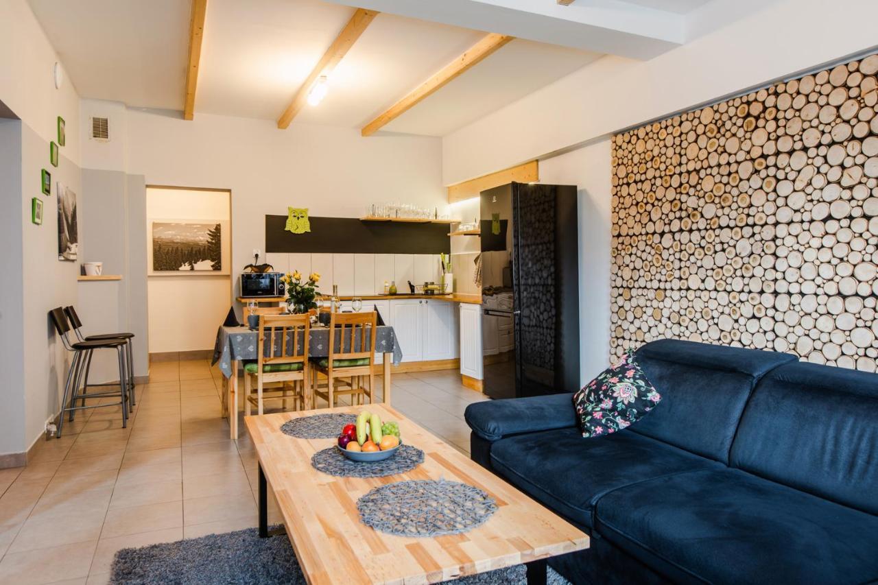Apartament Grota ザコパネ エクステリア 写真